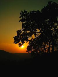 Silhouette tree against sea during sunset