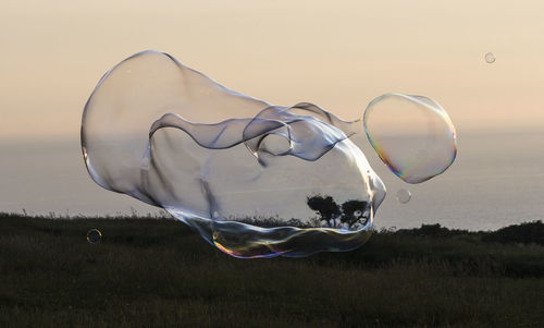 Giant soap bubble creature with iridescent rainbow colours during sunset