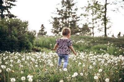 Rear view of boy standing on field