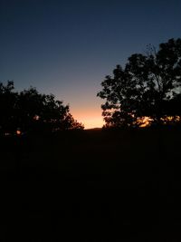 Silhouette trees against clear sky during sunset