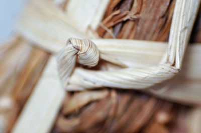 Close-up of rope tied on wood