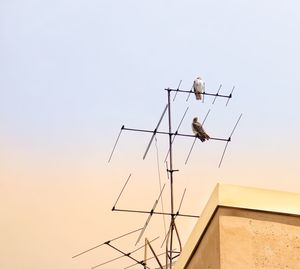 Low angle view of men jumping on pole against clear sky