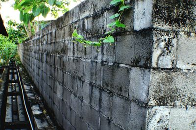 Close-up of cat against built structure