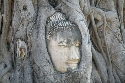 Statue of buddha against building