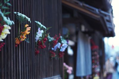 Close-up of flower pot