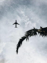 Low angle view of silhouette airplane against sky