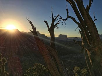 Bare trees on landscape at sunset