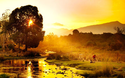 Scenic view of golf course against sky during sunset