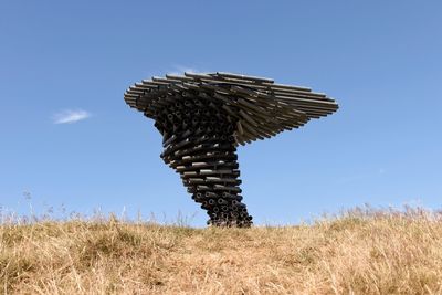 View of giraffe on land against clear sky