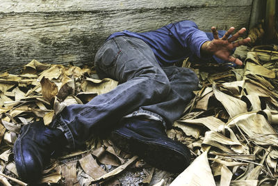 High angle view of man lying on dry leaves