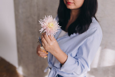 Midsection of woman holding a pink chrysanthemum flower 