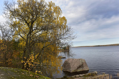 Tree by lake against sky during autumn