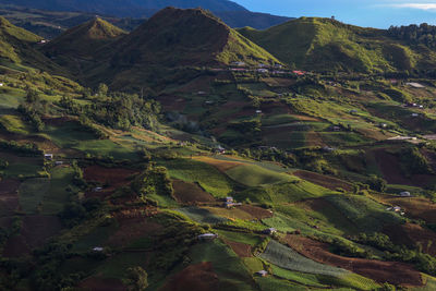 High angle view of agricultural field