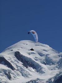 Bird flying over snow during winter