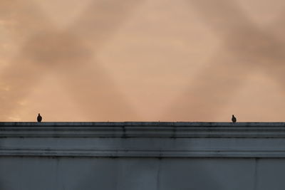 Low angle view of bird perching on building against sky