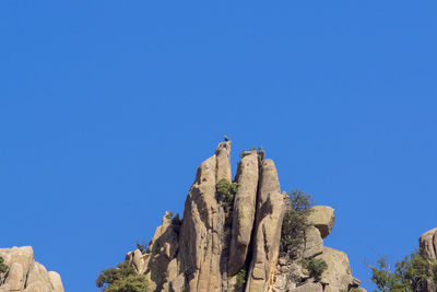Low angle view of bird on rock against clear blue sky