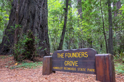 Information sign on tree trunk in forest