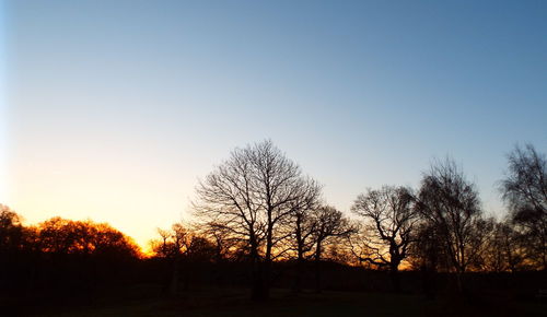 Silhouette trees on field against clear sky