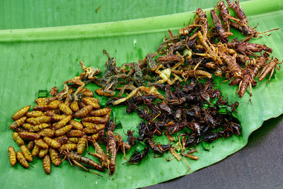 The vareity of fried animals in nature for food on green leaf banana