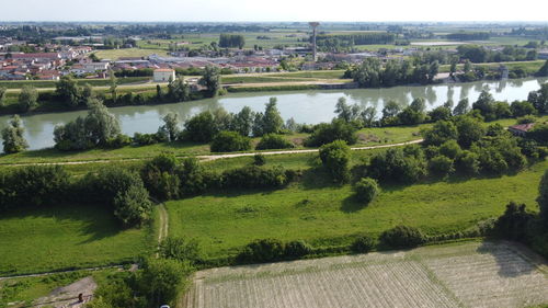 High angle view of trees on landscape