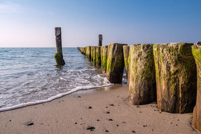 Wooden posts on beach against sky