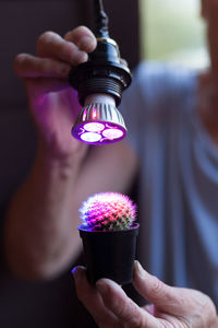 Midsection of man holding illuminated light over cactus