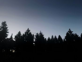 Low angle view of silhouette trees against sky