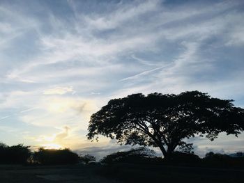 Low angle view of silhouette tree against sky during sunset