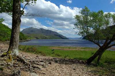 Scenic view of landscape by sea against sky