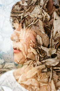 High angle view of dry leaves during winter