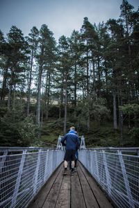 Rear view of man on footbridge in forest