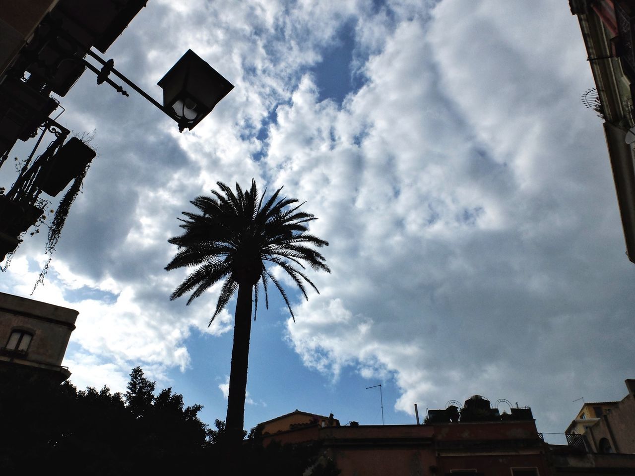 low angle view, building exterior, architecture, built structure, sky, palm tree, tree, cloud - sky, silhouette, cloudy, cloud, street light, tall - high, building, outdoors, house, city, no people, dusk, high section