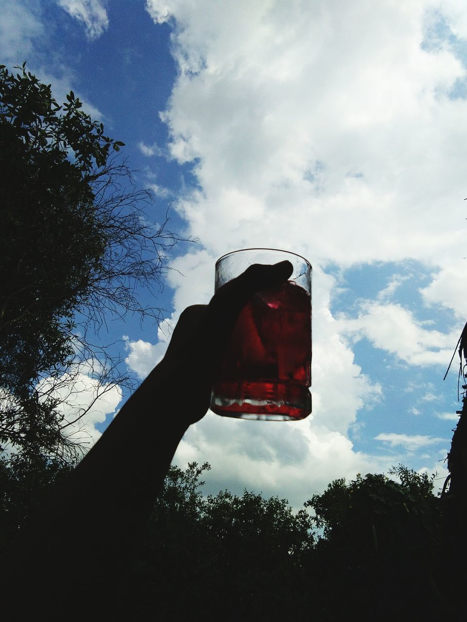 LOW ANGLE VIEW OF HAND AGAINST SKY