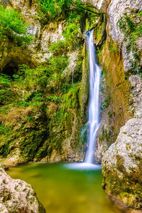 View of waterfall in forest