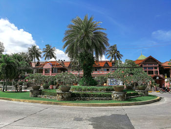 Plants and trees by building against sky