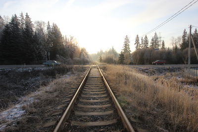 Railway tracks along trees