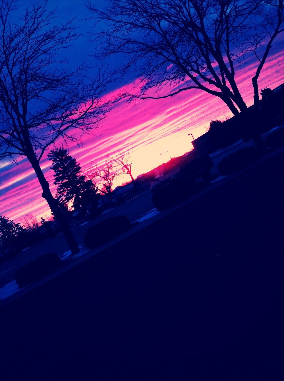 The Sky this Morning <3'