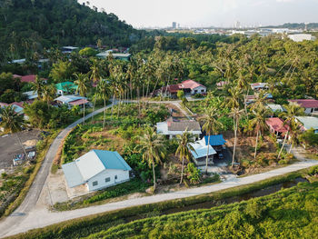 High angle view of trees and buildings