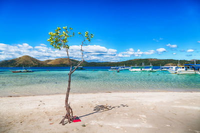 Scenic view of beach with yacht against sky