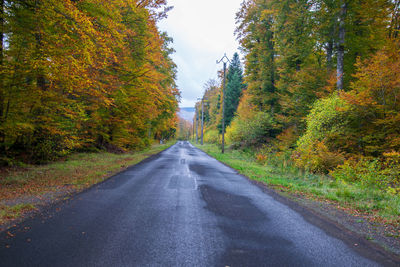 Empty road amidst trees during autumn