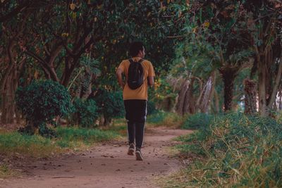 Rear view of man walking in forest