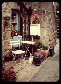 Potted plants on the wall