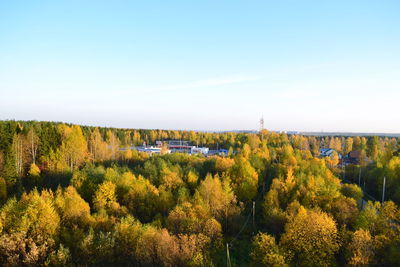 Trees on landscape against sky during autumn