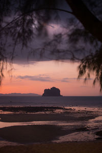 View through branches of tree on sandy coast washed by sea under stormy gloomy sky at sunset in malaysia