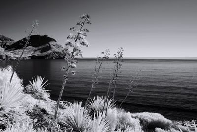 Scenic view of sea against clear sky