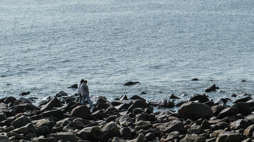 Rear view of people sitting on rock at beach