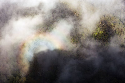 High angle view of trees on land