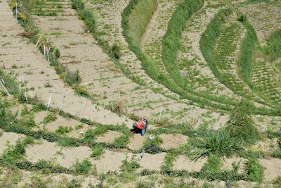 High angle view of man on field