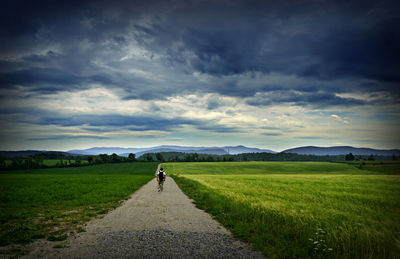 Rear view of person walking on road amidst field against sky