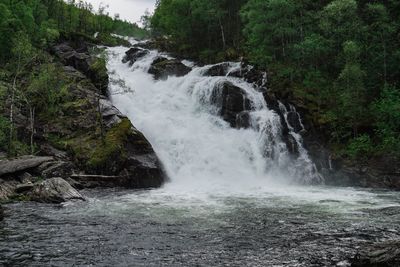 Scenic view of waterfall in forest